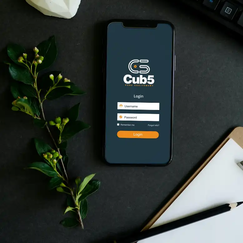 Cub5.com marketing example image.