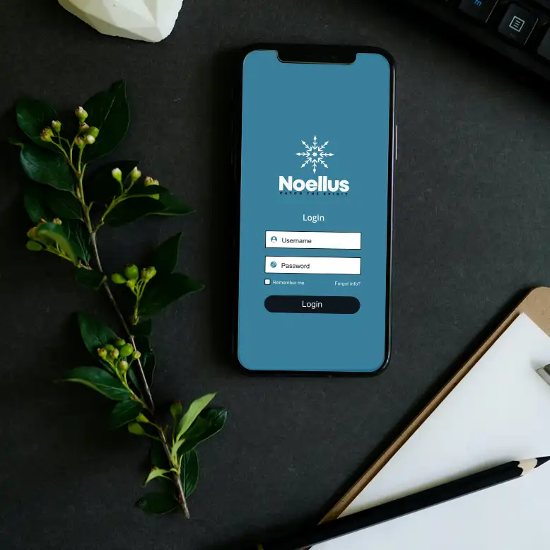 Noellus.com marketing example image.