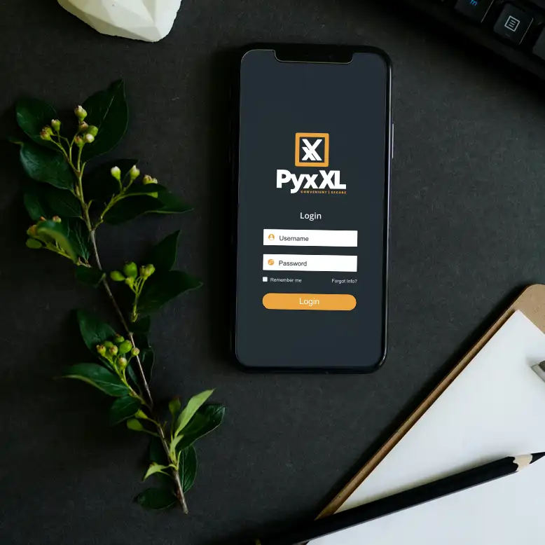 PyxXL.com marketing example image.