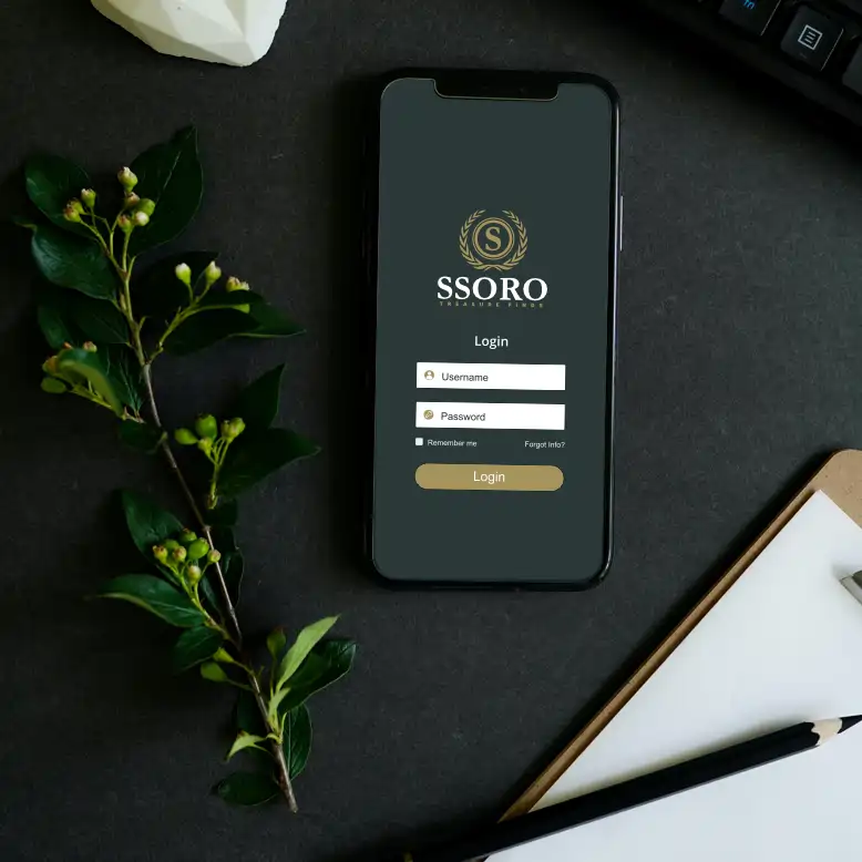 SSORO.com marketing example image.
